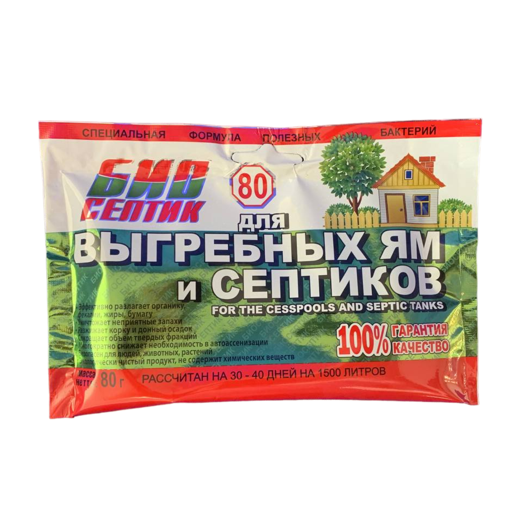 Дерево манго
