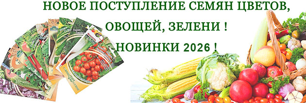 Новое поступление семян цветов, овощей и зелени! Новинки 2026!