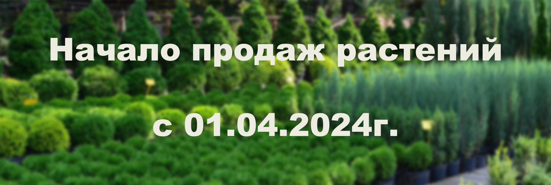 Начало продаж растений с 01.04.2024г.