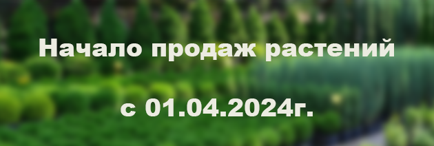 Начало продаж растений с 01.04.2024г.