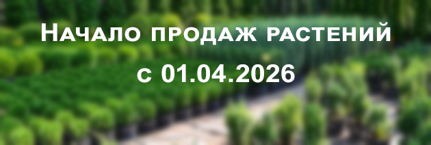 Начало продаж растений с 01.04.2026г.