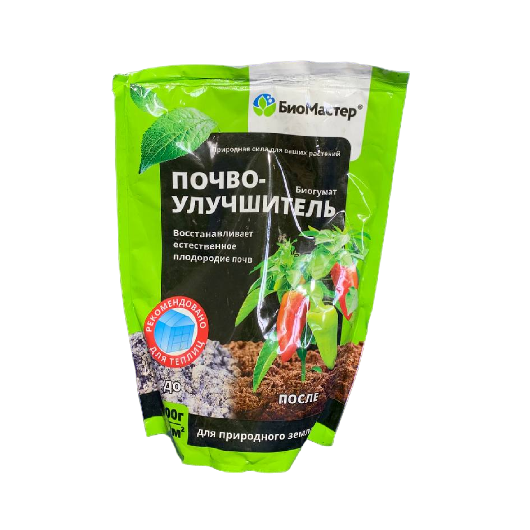 Дерево манго